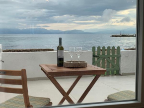 HADARIK by the sea